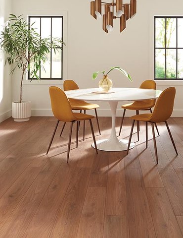 Dining Room Luxury Vinyl Plank LVP -  Floor Fashions CarpetsPlus COLORTILE in Plainfield, IN