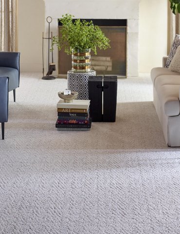 Living Room Pattern Carpet - Floor Fashions CarpetsPlus COLORTILE in Plainfield, IN